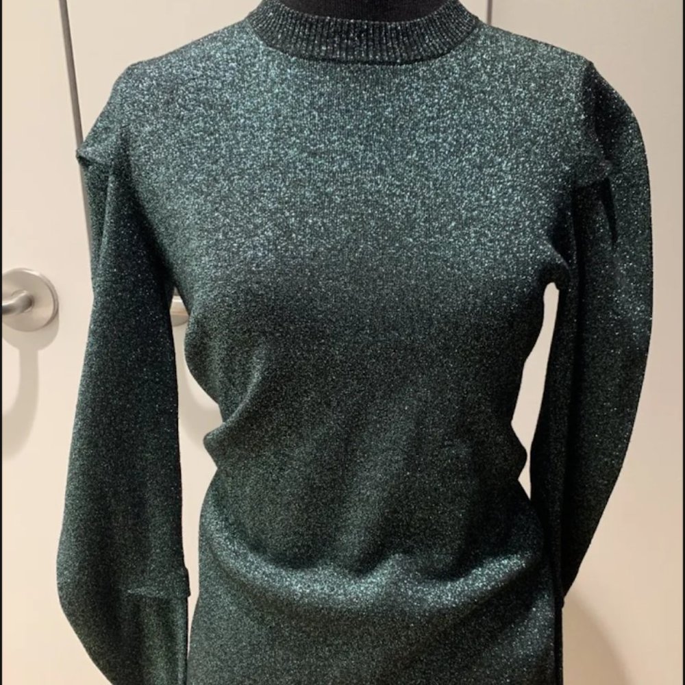 alexander wang green glitter sweater Sz M